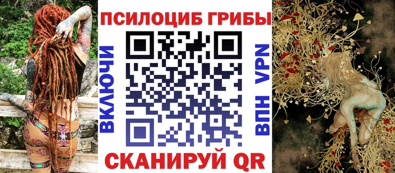 Галлюциногенные грибы Magic Shrooms Чегем